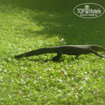 фото из отзыва ID 1232315