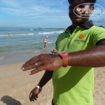 фото из отзыва ID 1232315