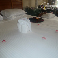 фото из отзыва ID 1232315