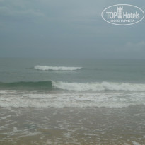 фото из отзыва ID 1232315