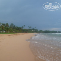 фото из отзыва ID 1232315