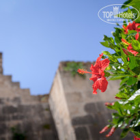 фото из отзыва ID 1232563