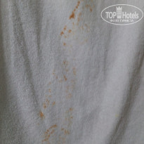 фото из отзыва ID 1232608