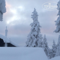 фото из отзыва ID 1232685