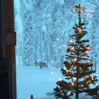 фото из отзыва ID 1232685