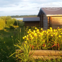 фото из отзыва ID 1232898