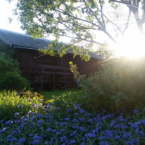 фото из отзыва ID 1232898