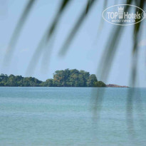 фото из отзыва ID 1233005