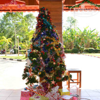 фото из отзыва ID 1233005