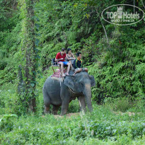 фото из отзыва ID 1233005