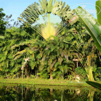 фото из отзыва ID 1233005