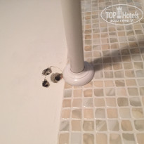 фото из отзыва ID 1233008