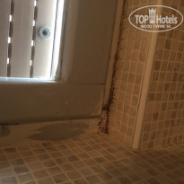 фото из отзыва ID 1233008