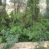 фото из отзыва ID 1233039