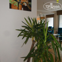 фото из отзыва ID 1233039