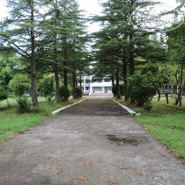 фото из отзыва ID 1233057