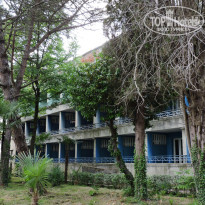 фото из отзыва ID 1233057