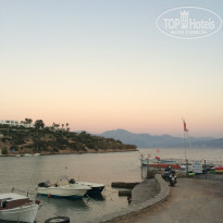 фото из отзыва ID 1233120