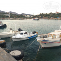 фото из отзыва ID 1233120