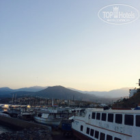 фото из отзыва ID 1233120