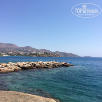 фото из отзыва ID 1233120