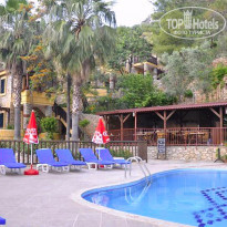 фото из отзыва ID 1233134