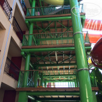 фото из отзыва ID 1233138