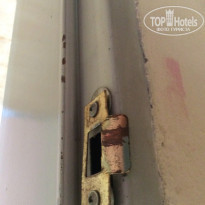 фото из отзыва ID 1233162