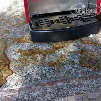 фото из отзыва ID 1233189