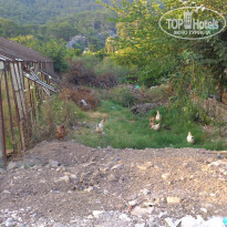 фото из отзыва ID 1233189