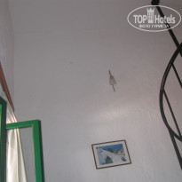 фото из отзыва ID 1233193