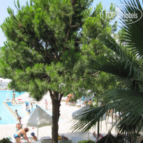 фото из отзыва ID 1233262