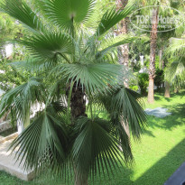 фото из отзыва ID 1233262