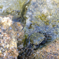 фото из отзыва ID 1233273