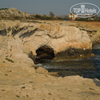 фото из отзыва ID 1233297