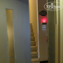 фото из отзыва ID 1233751