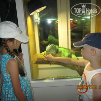 фото из отзыва ID 1233438