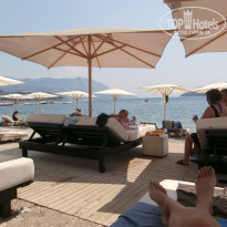 фото из отзыва ID 1233912