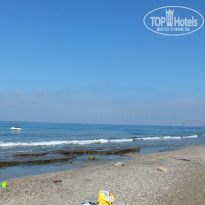 фото из отзыва ID 1234048