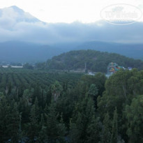 фото из отзыва ID 1234084