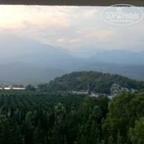 фото из отзыва ID 1234084