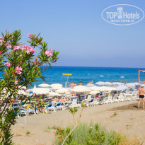 фото из отзыва ID 1234103