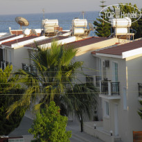 фото из отзыва ID 1234161