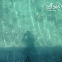 фото из отзыва ID 1234229