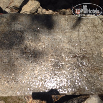 фото из отзыва ID 1234229