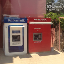 фото из отзыва ID 1234229