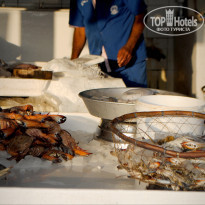 фото из отзыва ID 1234231