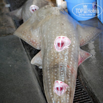 фото из отзыва ID 1234231