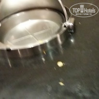 фото из отзыва ID 1234309