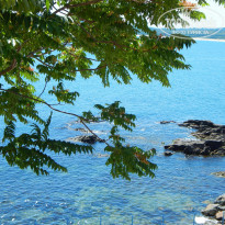 фото из отзыва ID 1234365